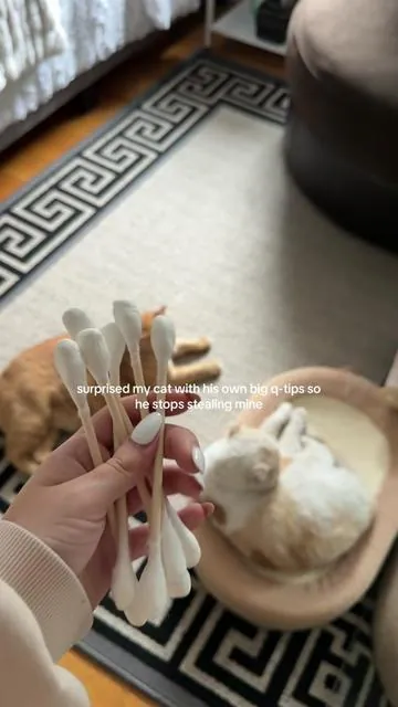 great for teething 🪥(& he wants to clean his ears how I do) #catsoftiktok #dealsforyoudays #orangecatbehavior 