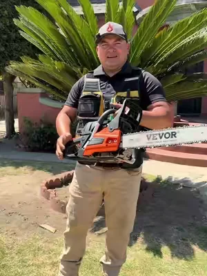 Motosierras Chainsaw a gas de Vevor no tiene rival por el precio!!!#VEVOR #Chainsaw #stihlchainsaw #yardwork #woodworking @VEVOR Store 