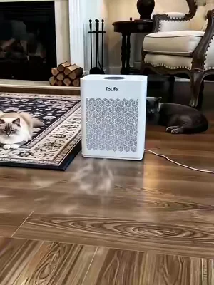 You love your pet. You don't love the sneezing, the itchy eyes, and the stuffy nose. That's not love — that's dander. Tolife removes it.#tiktokshopdealsforyoudays #airpurifier #Summer #petairpurifier #pet 