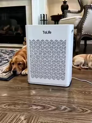 Fur is visible. Dander is not. Dander is what triggers your allergies. And it's everywhere.#airpurifier #Summer #tiktokshopdealsforyoudays #petairpurifier #pethaireverywhere 