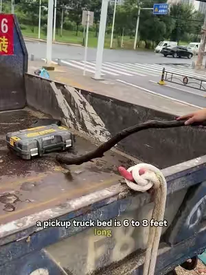GJANSH 6.5Ft Truck Bed Cargo Retriever, Heavy Duty Pickup Cargo Grabber Reach Pole with Storage Bag, Telescoping Truck Bed Grabber Pole with 2-Style Hooks, Black#tiktok #tiktokshop #Summervibes 