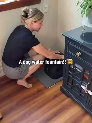 This dog bowl is AMAZING!! I love that my dogs aren’t going to have any of that still gross water anymore!  #dogs #dog #dogwaterbowl #waterbowl #dogstuff 