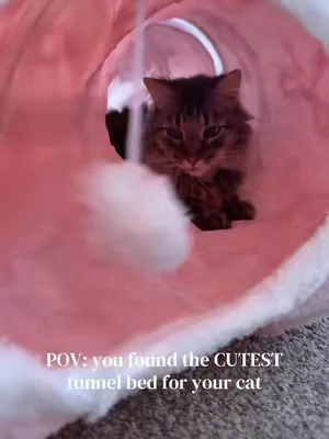 he loves his new tunnel bed!!! #catsoftiktok #catbed #cattok #petfinds #cattunnel  