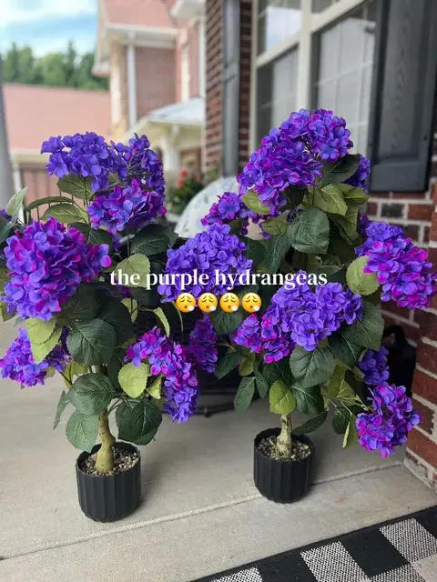 Wait… these aren’t real. 🌿 I had to do a double take when I pulled these out of the box. These artificial hydrangeas are almost three feet tall and look incredibly realistic. They instantly made my porch feel more polished, and the best part? No watering, no dead blooms, and no maintenance. Just pretty all year long.