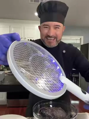 @electric fly swatter #moscas #insectos #matamoscas 