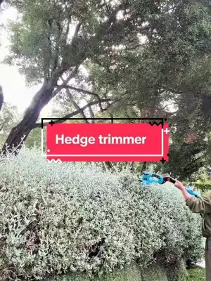 Yard work made easier  #hedgetrimmer #dealsforyoudays 