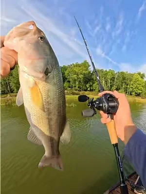 The best casting combo you’re going to see at this price!  #tiktokshopcreatorpicks #dealsforyoudays #kastkingusa #fishing #baitcaster @KastKingUSA @KastKing Gear 