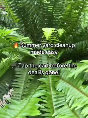 ✨ Y’all… this little blower surprised me 😳 💨 Cordless 🍃 Lightweight ⚡ Powerful airflow #L#LeafBlowers#seesesuperbranddayS#SummerWinsS#SummerVibesDealsForYouDays
