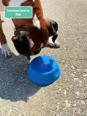 PawPace Soccer Style Multi purpose dog bowl with Free Peanut Butter Spatula,Dog Liquid Slow Feeder,Lick Bowl Mat with Ball ,8 Extra Large Suction Cups,No Mess Liquid Treat Enrichment Bowl for Dogs #DealsForYouDays #SummerWins #weeklydeals #dogtoys #enrichmentfordogs @PawPace PET 