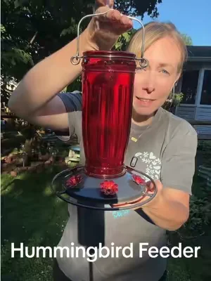 The Kingsyard Hummingbird Feeder is made with hand blown glass. So beautiful! 