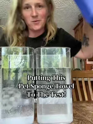 Got this sponge towel for my dog because it’s suppose to be super absorbent.  I tested it next to a standard microfiber bath towel and was really impressed by how much water it absorbed. #spongetowel #pettowel #dogmom #petbath 