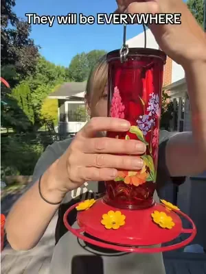 This hummingbird feeder is cute and SO EASY TO CLEAN! 