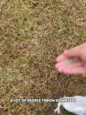 It’s not the seed. It’s the soil.👀 #lawncare #yardwork #lawnaerator #tiktokshopdealsforyoudays #Rifpod 