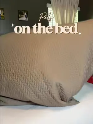Are you team pets on your bed or no? #petfriendlyhome #petfriendlybedding #dealsforyoudays 