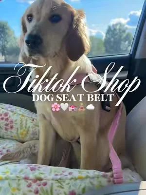 Dog car leash 🌸🤍💒🧘🏼‍♀️☁️#fyp #dogleash #dogcarseat #dogtravel #dogharness 