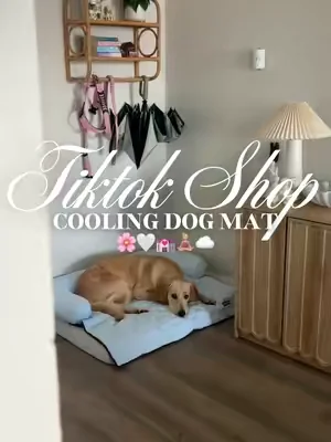 Cooling dog mat 🌸🤍💒🧘🏼‍♀️☁️#fyp #dogmat #coolingdogbed #dogbed #coolingblanket 