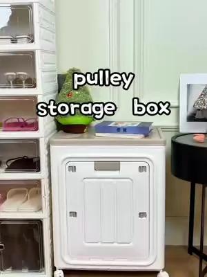 Esta caja organizadora grande mantiene tu ropa libre de polvo. #organizer #collapsible #tiktokshop #dealsforyoudays #storage 