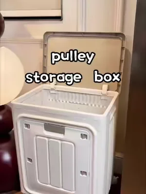 Esta caja organizadora grande mantiene tu ropa libre de polvo. #organizer #collapsible #tiktokshop #dealsforyoudays #storage 