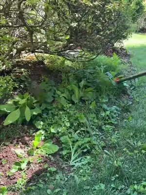 Love this thing. Saves so much time in the yard/garden. #gardentools #gardenhoe #summervibes #dealsforyoudays 