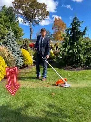 Fromgrasstobranches,this6-in-1cutsthroughitalllikebutter🧈🔥Nomorehaulingmultiplemachinesaroundtheyard💪#VEVOR#VEVORSuperBrandDay#DealsForYouDays#yardwork
