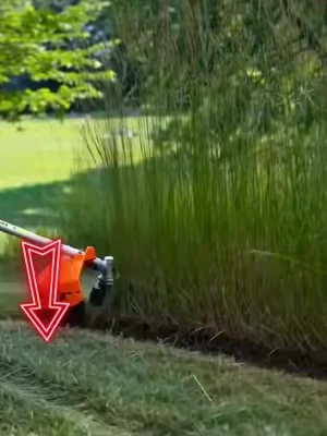 Iwishsomeonetoldmesooner…onetoolreplacesyourtrimmer,polesaw,brushcutter,hedgetrimmer,andchainsaw🤯💪#VEVOR#VEVORSuperBrandDay#DealsForYouDays#lawncare