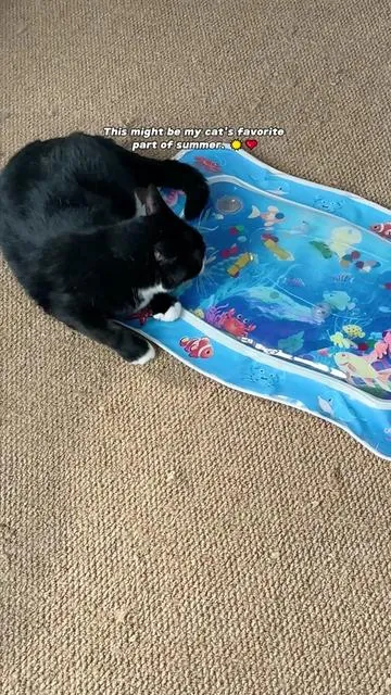 My cat has tried so hard to destroy this... and it's still holding up.#catpick #catcoolingmat #petcoolingmat #catcooking 