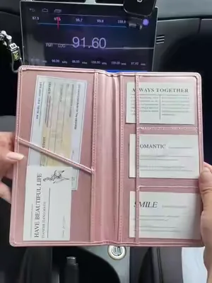 car owner needs this 32F #carinsuranceholder #carregistrationholder #caressentials #trafficstop #fyp