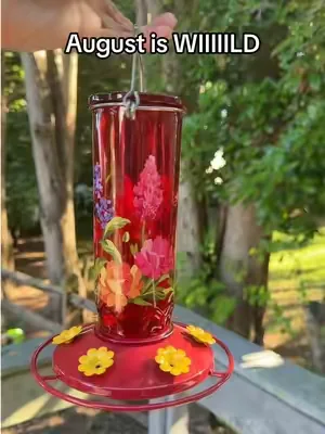 Hummingbirds are most active in my area in August. I love this hand blown glass hummingbird feeder! So pretty and easy to clean! #hummingbirdfeeder 