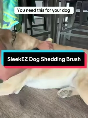 I wish I had this the last 5 years my mind is blown the amount of hair this takes off my dog 🤯 @SleekEZ USA #doggrooming #shedding #dogsoftiktok #dogmusthaves #labradorsoftiktok 