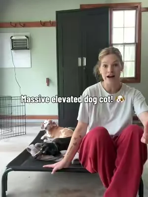 This dog cot is perfect for summer time my dogs absolutely love it and so does my toddler 🤣 #dog #dogstuff #dogbed #dogs #elevateddogbed 