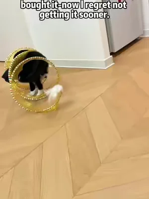 Even though it’s low-priced, my cats are absolutely obsessed with it.     #cat #cattoys #kitty #catmom #DealsForYouDays 