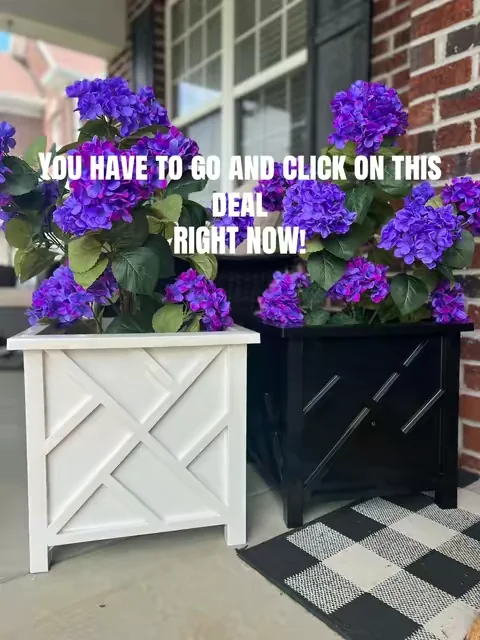 I’m not saying your neighbors are going to notice… but they’re definitely going to notice. 😂 These planters completely changed the front of my house, and all I did was drop my favorite greenery inside. It’s one of those little upgrades that makes your whole home feel more welcoming—and the deal right now makes it even better. Plus they’re in such a good sale! #planter #planters #flowers #outdoordecor #dealsforyoudays 