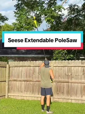 When I tell you I use this all the time. #chainsaw #polesaw #seese 