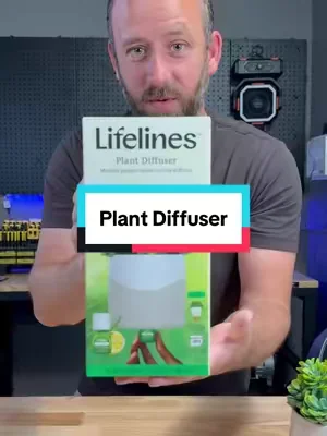 Lifelines Rechargeable Fauxe Plant diffuser #diffuser #plantdiffuser #scent #tiktokshopcreatorpicks 