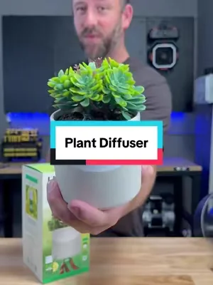 Lifelines Rechargeable Fauxe Plant diffuser #diffuser #plantdiffuser #scent #tiktokshopcreatorpicks 