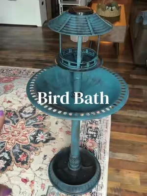 Bird bath with solar light & planter✨ #birdbath #outsidedecor #birdbaths #dealsforyoudays #summerwins 