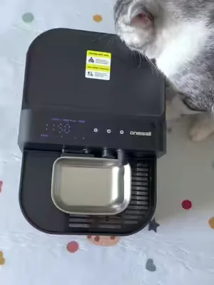 my cat was drinking mold and I had no idea#kitten #cat #CatHealth #SummerWins #DealsForYouDays 
