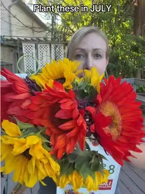 Plant sunflower seeds in July for late summer blooms! #seeds 