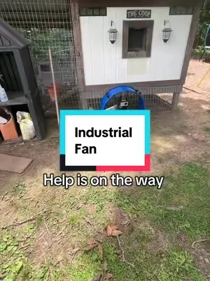 7655398366922231053