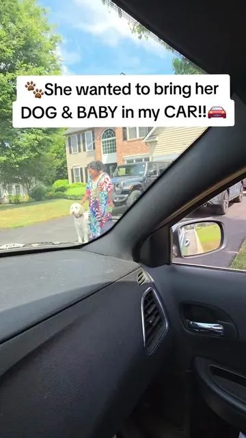 🐩👶🤱🏽With these Ruff Liners I'm always ready for any passanger!!🚘 #ruffliners #ruffliners #backseatextenderfordogs #dogparents #dealsforyoudays 