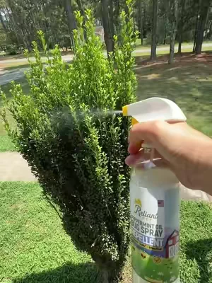 Repelente para mosquitos y insectos #TikTokShopCreatorPicks #dealsforyoudays #repellentspray #bugspray #housecleaning 