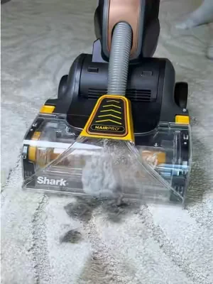 A carpet cleaner that can also pick up chunks of hair?! 😧 #shark #sharkcarpetforce #vacuum #carpetcleaning #cleaning 