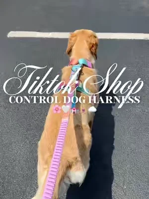 Control dog harness 🌸🤍💒🧘🏼‍♀️☁️#fyp #dogharness #dogwalk #nopulldogharness #nopullharness 