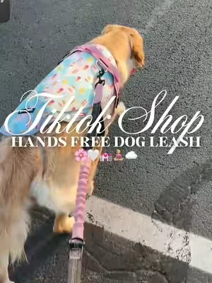 Hands free dog leash 🌸🤍💒🧘🏼‍♀️☁️#fyp #dogleash #handsfreedogleash #handsfreeleash #dogwalk 