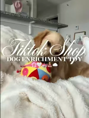 Dog mental enrichment toy 🌸🤍💒🧘🏼‍♀️☁️#fyp #dogtoy #dogchewtoy #dogenrichment #enrichmentfordogs 