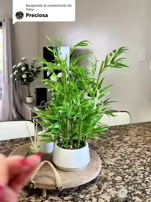 Respuesta a @Yany Artificial Bamboo Tree, 1.5ft #dealsforyoudays #summerwins #decoration #decoracion 