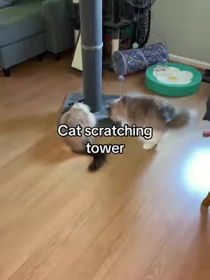 Tall cat scratching tower #catsoftiktok #cattower #catscratcher #catscratchingpost #cattoys 
