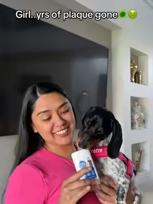 Her pearly whites🦷🐶#dogsoftiktok #dogowners #plaque #dogownerproblems 