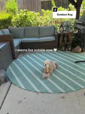 Who knew a rug made such a difference… I just wanna live out here now. @@Nourison##outdoorrug##patiorug##dealsforyoudays##SummerWins##SummerVibes