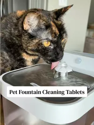 Are you deep cleaning your fountains? #dealsforyoudays #petfountain #hapaw #clynd #summervibes 